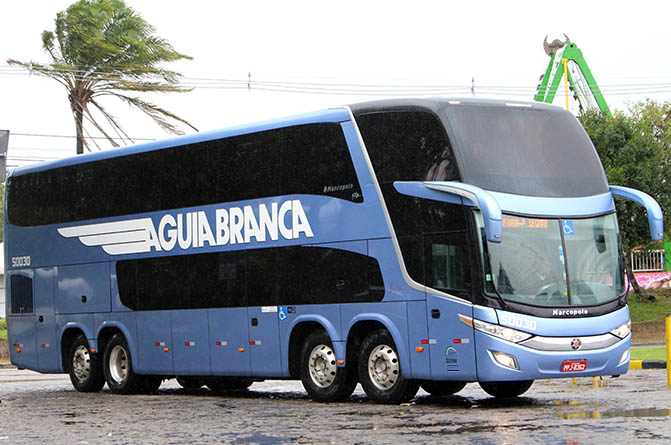 Reflexo da crise no setor rodoviário vai perdurar até o fim do ano, diz Abrati 1 Aguia_Branca_-_50030_-_Flickr_-_Rafael_Delazari