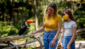 Parque das Aves recebe mais de 8 mil turistas no Feriadão