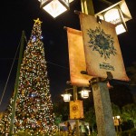 disney natal animal kingdom 1 Disney inicia 'Holiday Magic' para celebrar Natal e Ano Novo em Orlando; fotos