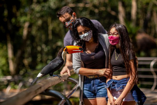 Parque segue uma série de protocolos e está trabalhando com capacidade reduzida