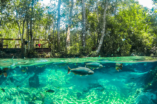 Mato Grosso destaca preparação de atrativos para receber turistas DCIM101GOPRO