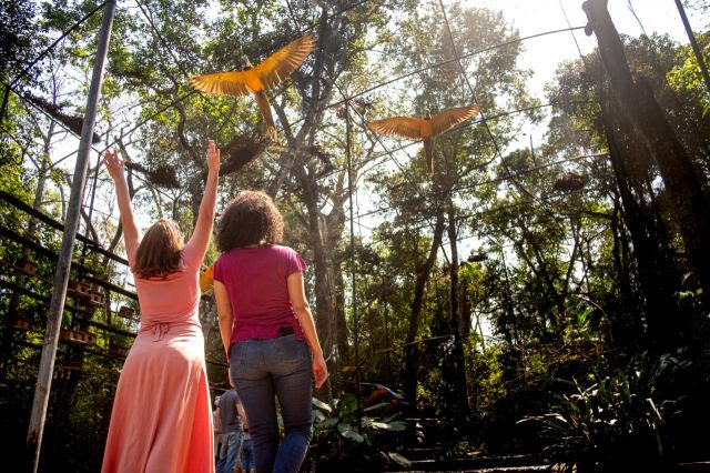 Parque das Aves espera mais de 6 mil visitantes neste Carnaval 1 parque das aves