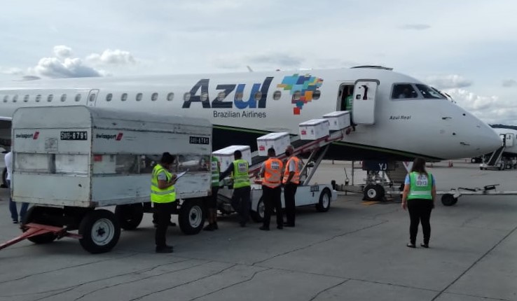 Azul já transportou mais de 2 milhões de doses de vacina 1 transporte vacinas_Azul_GRU 2