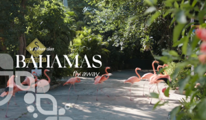Bahamas relançam site oficial com novos recursos e funcionalidades