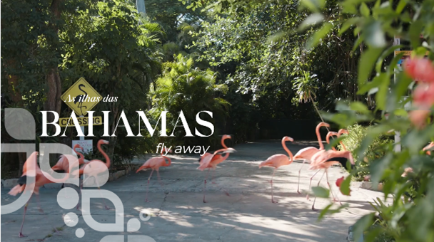 Bahamas relançam site oficial com novos recursos e funcionalidades 1 unnamed (1)
