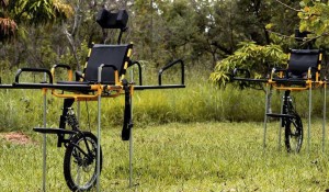 Parques nacionais passam a contar com cadeiras de rodas adaptadas para trilhas