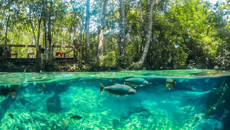 Mato Grosso do Sul ganha programa de inovação da oferta turística 2 piscina natural rafaella zanol mato grosso