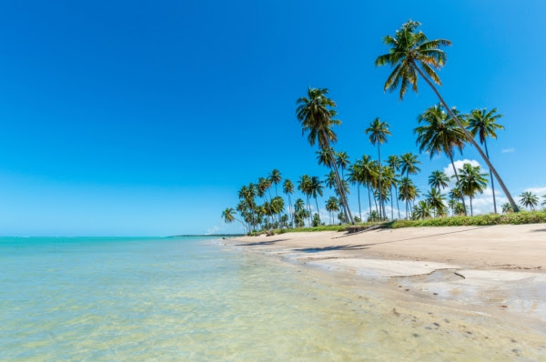 alagoas