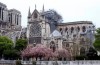Catedral de Notre-Dame pode demorar até 20 anos para ser totalmente restaurada