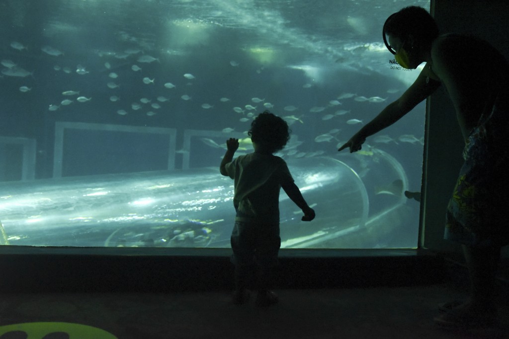 AquaRio terá entrada gratuita para todas as mães durante o mês de maio 1 Movement in the Aquarium in the port area of the city, Brazil has 106,608 deaths from coronavirus confirmed until 1 pm this Saturday. After five months, some of the main tourist attractions in Rio reopened to the public this Saturday. Rio tourist attractions reopen with special discounts; Spaces resume visiting the public with protective measures against the new coronavirus. Some attractive discounts for Rio residents. . s. ,