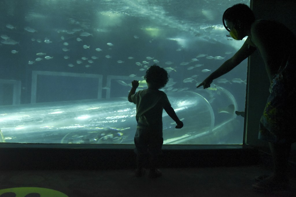 Movement in the Aquarium in the port area of the city, Brazil has 106,608 deaths from coronavirus confirmed until 1 pm this Saturday. After five months, some of the main tourist attractions in Rio reopened to the public this Saturday. Rio tourist attractions reopen with special discounts; Spaces resume visiting the public with protective measures against the new coronavirus. Some attractive discounts for Rio residents. . s. ,