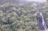 Governo publica edital de concessão da Floresta Nacional de São Francisco de Paula