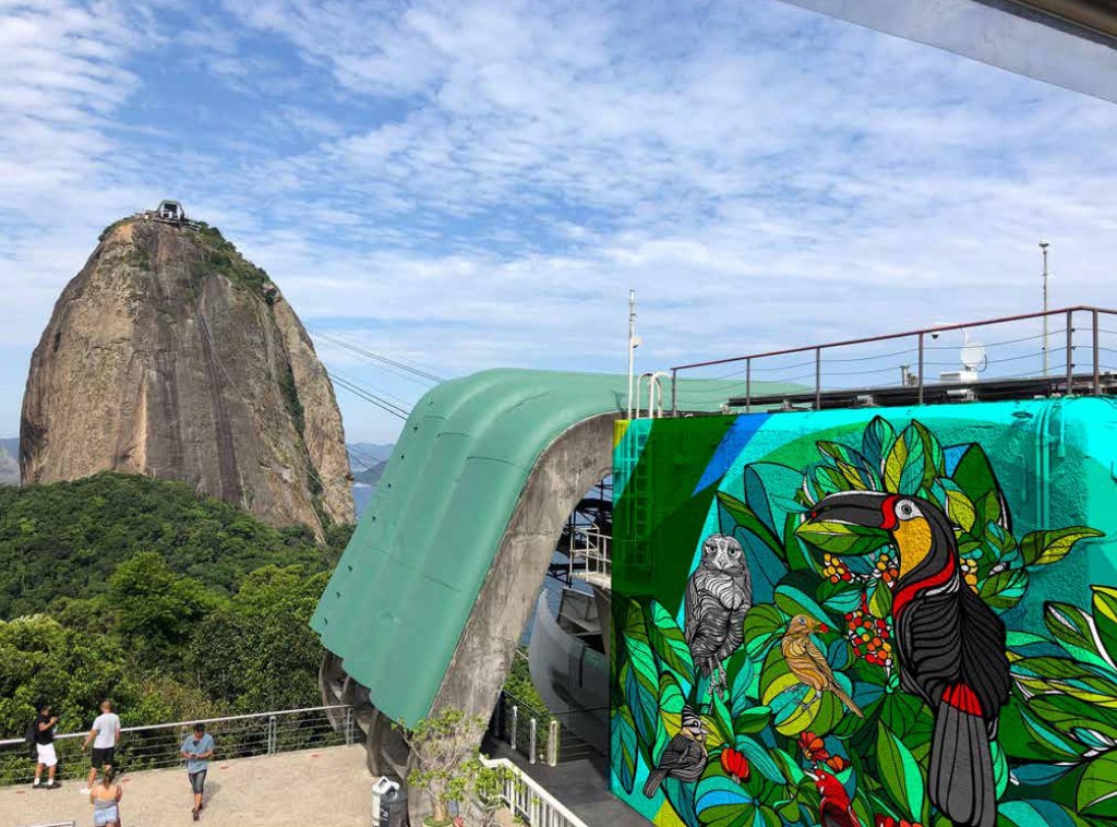 Bondinho Pão de Açúcar ganha artes focadas na flora e fauna carioca 1 b1