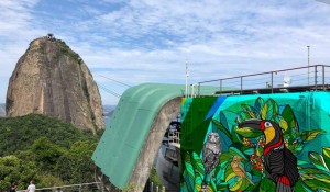 Bondinho Pão de Açúcar ganha artes focadas na flora e fauna carioca