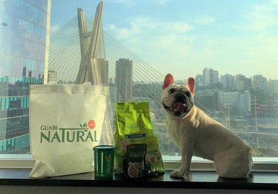 Hilton São Paulo Morumbi passa a oferecer kits especiais para hóspedes com cães 1 unnamed