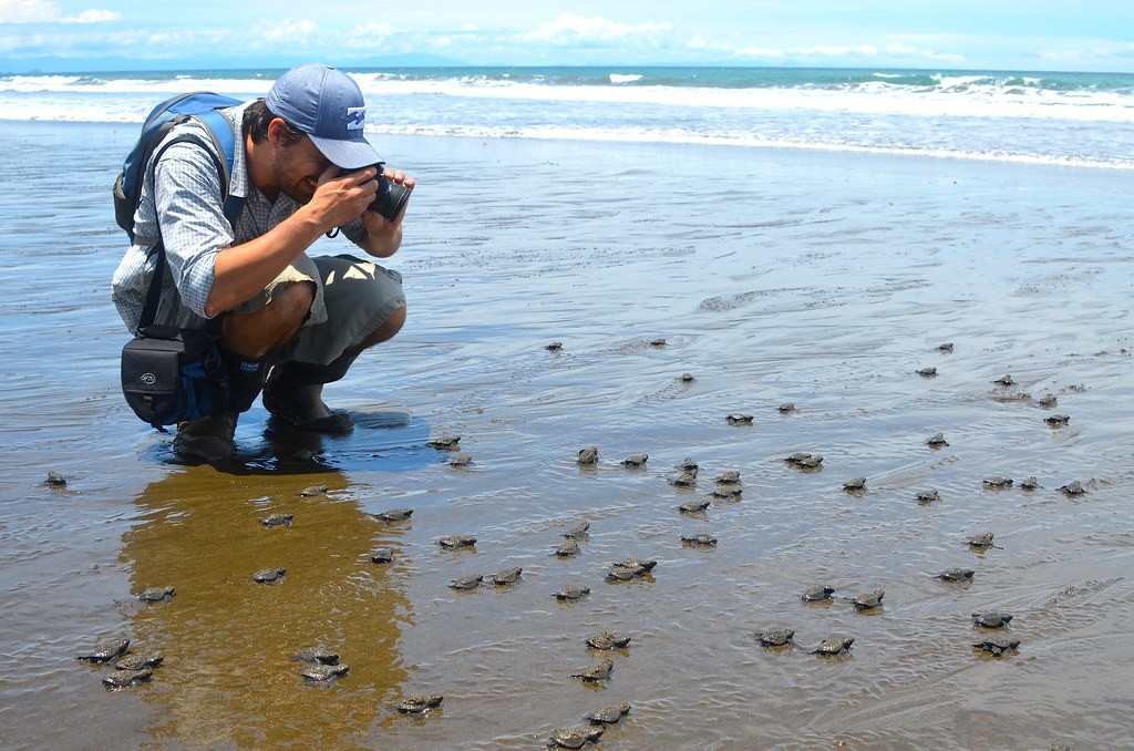 Em Chocó é possível observar a desova das tartarugas