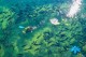 Nascente Azul, em Bonito (MS), ganha museu subaquático