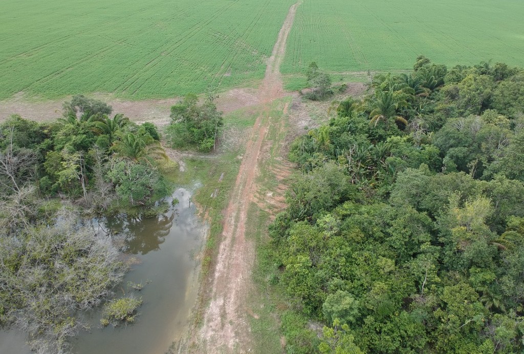 Movida pretende plantar mais 900 mil mudas de árvores nativas no Rio Araguaia 1 DCIM/100MEDIA/DJI_0638.JPG