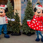 02 3 Natal no Disneyland Resort começa em novembro com novidades; fotos