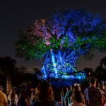 04 2 Disney compartilha magia dos 50 anos no Animal Kingdom; veja fotos