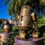 08 4 Disney compartilha magia dos 50 anos no Hollywood Studios; veja fotos