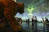 Pavilhão do Brasil na Expo Dubai já recebeu mais de 355 mil visitantes