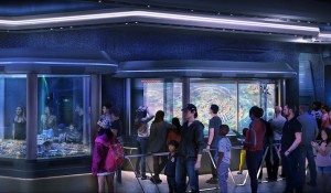 Disney confirma abertura de nova montanha-russa para o verão dos EUA de 2022