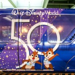 11 Disney compartilha magia dos 50 anos em seus resorts; veja fotos