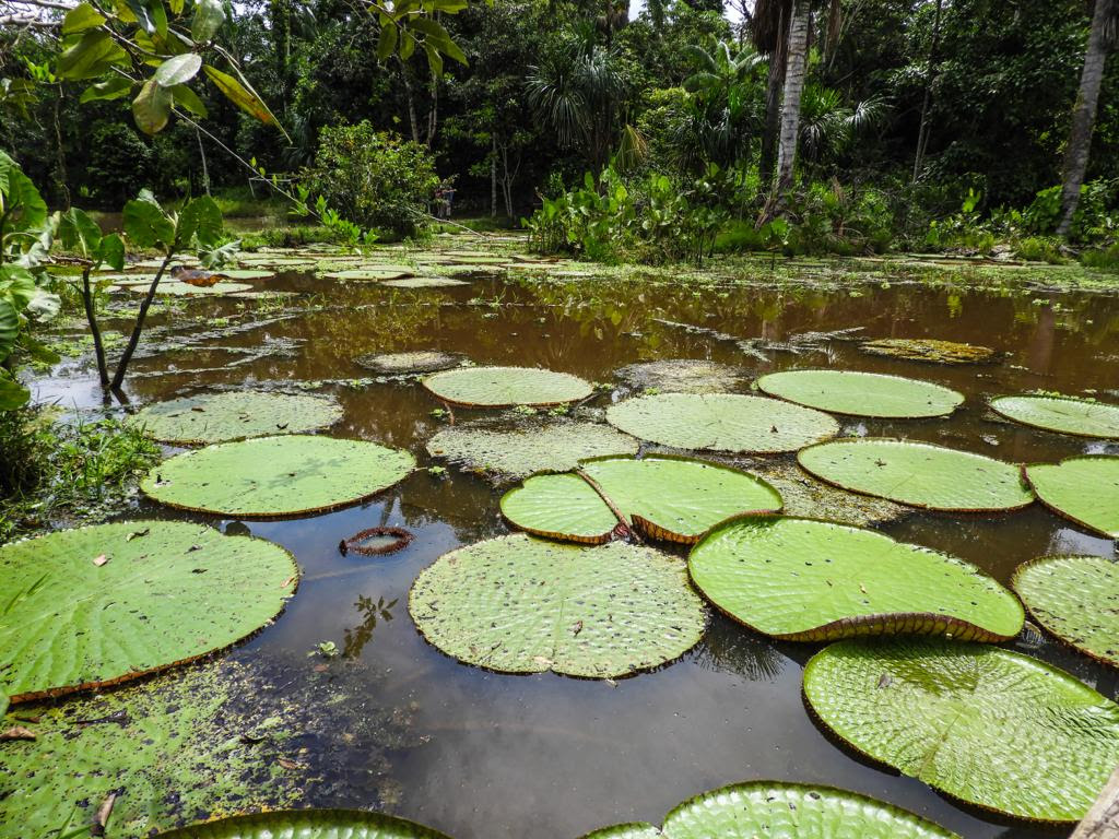 Colômbia destaca ações para liderança em Turismo Sustentável 1 Colômbia destaca ações para liderança em Turismo Sustentável (2)