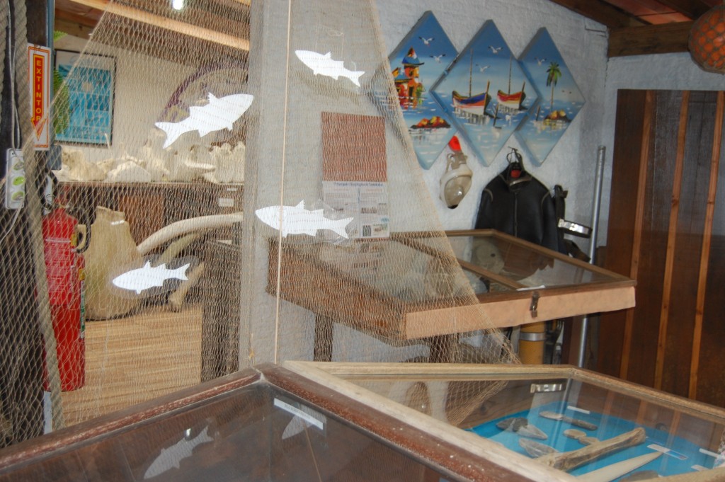 Bombinhas (SC) retoma atividades turísticas neste verão 4 Equipamentos de pesca da tainha, e de mergulho no Museu de História Natural Charles Darwin