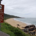 Praias agrestes de Balneário atraem pela rusticidade