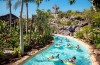 Disney reabre parque aquático Thyphoon Lagoon na Flórida