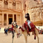 Disponível tanto para passeio quanto para fotografia, os camelos são um recurso e atrativo pago à parte