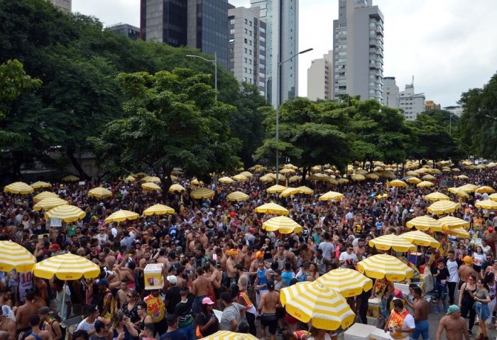 Cerca de 2 milhões de foliões curtem o carnaval em São Paulo (Foto: Rovena Rosa/Agência Brasil)