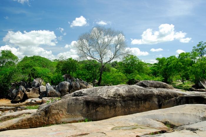 PBTur e Fornatur firmam parceria para divulgar imagens de roteiros turísticos 1 A parceria com o Destino Paraíba vai ocorrer também com todos os estados brasileiros, conforme declaração de Ruth Avelino, presidente da PBTur