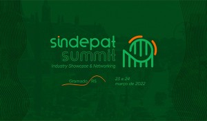 Sindepat Summit anuncia painel sobre segurança em atrações turísticas