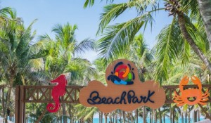 Azul Viagens e Beach Park terão voos compartilhados nesta alta temporada