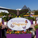 Disney dá início ao Epcot Flower & Garden Festival com duração de 125 dias Disney dá início ao Epcot Flower & Garden Festival com duração de 125 dias