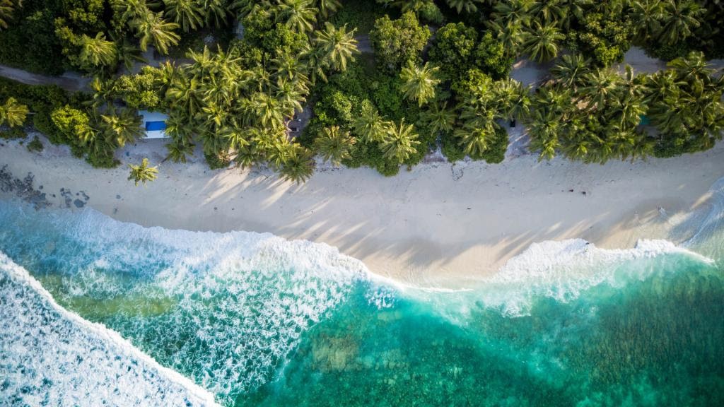 Sustentabilidade e turismo: Iata lança calculadora de CO2 para passageiros 1 unnamed