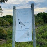 Ao longo do Complexo Iberostar na Bahia há placas indicando as plantas e animais nativos que podem ser observados - Foto Ana Azevedo Ao longo do Complexo Iberostar na Bahia há placas indicando as plantas e animais nativos que podem ser observados - Foto Ana Azevedo