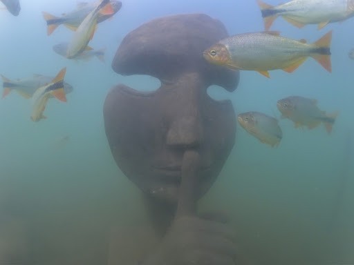 Primer museo de agua dulce del mundo en Bonito (MS)