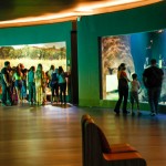 Bioparque Pantanal: M&E conhece o maior circuito de aquários de água doce do mundo; fotos