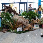 Bioparque Pantanal: M&E conhece o maior circuito de aquários de água doce do mundo; fotos