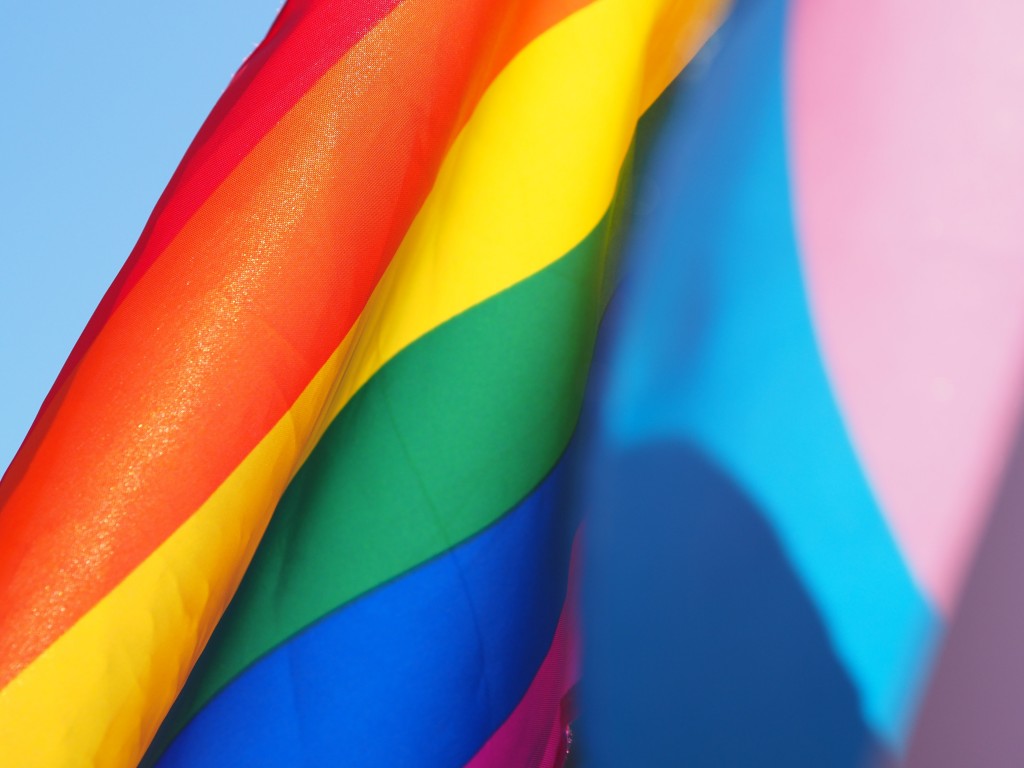 Estão abertas as inscrições para a LGBT+ Turismo Expo 2022; vagas são limitadas 1 Foto: reprodução