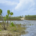 A paisagem da Ilha da restinga foi modificada por conta das chuvas na região, tornando-se ainda mais singular