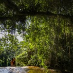 Cachoeira dos Três Tombos - Lailson Santos - Sectur Ilhabela