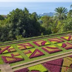 Jardim Botânico  Foto - Andre Carvalho