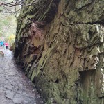 Pedra de basalto quebrada ao meio há milhões de anos ao lado de uma levada