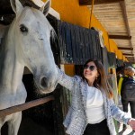 Elenice Zaparoli, do Visite São Paulo Elenice Zaparoli, do Visite São Paulo