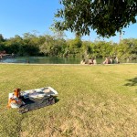 Muitos dos turistas e moradores locais vão ao Balneário Municipal de Bonito para fazer piquenique, praticar esportes e se refrescarem no rio